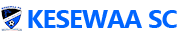 logoimg